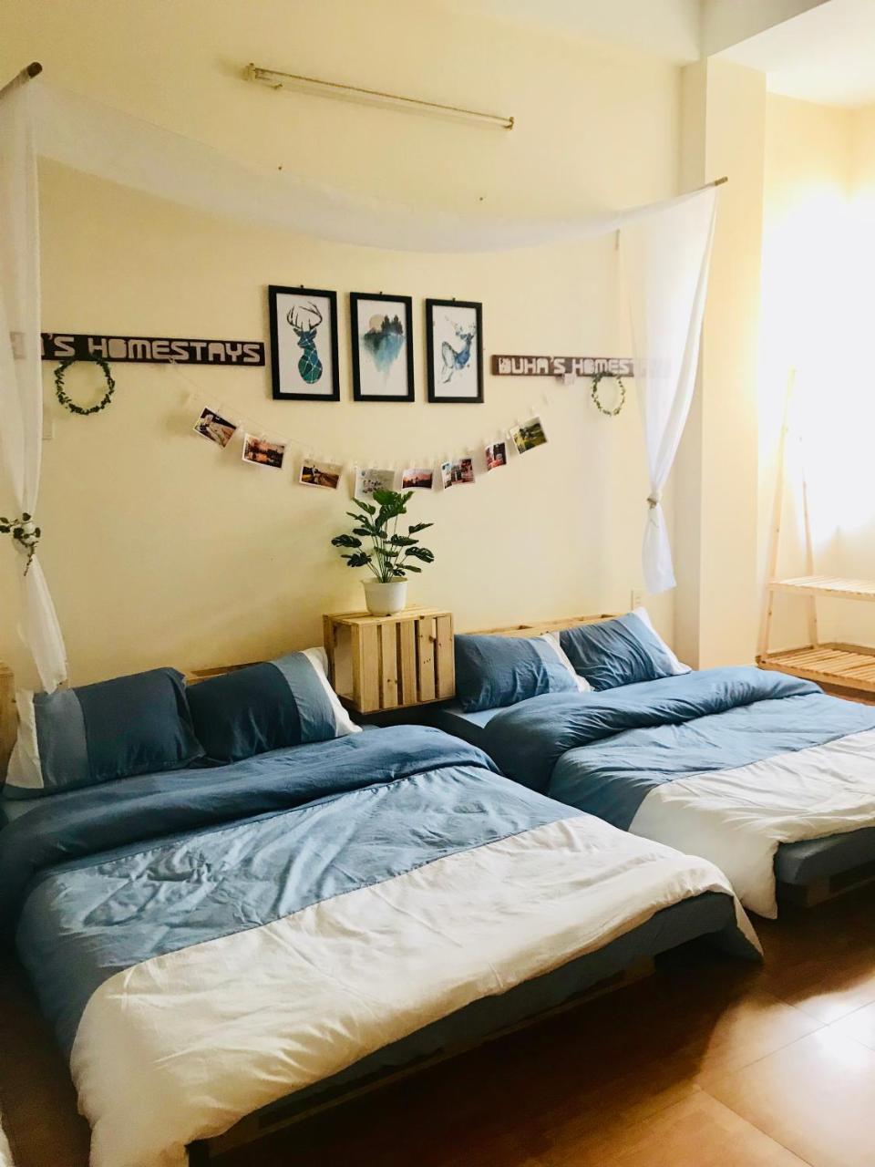 Duha'S Homestay Danang エクステリア 写真